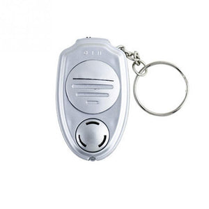 Mini Mosquito Repeller Key Chain