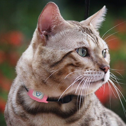 Waterproof Collar Tracker